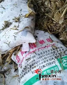 新疆查處首起以飼料鹽為原料制販假食鹽案，飼料原料銷售監管引關注